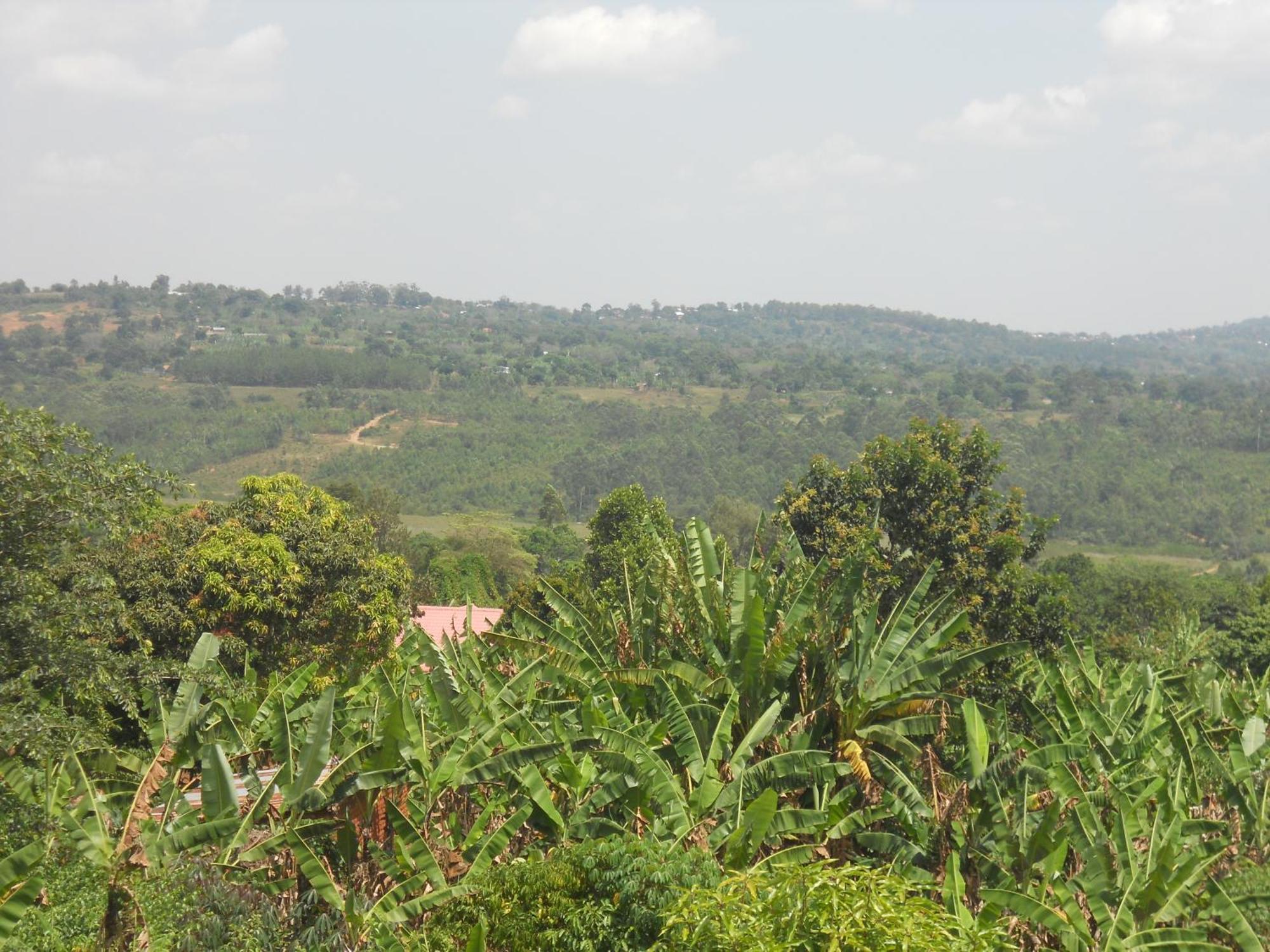 Masaka Backpackers, Tourists Cottage & Campsite 외부 사진