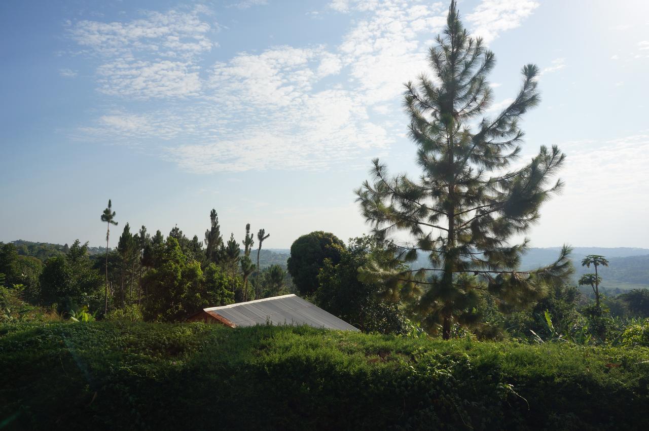 Masaka Backpackers, Tourists Cottage & Campsite 외부 사진